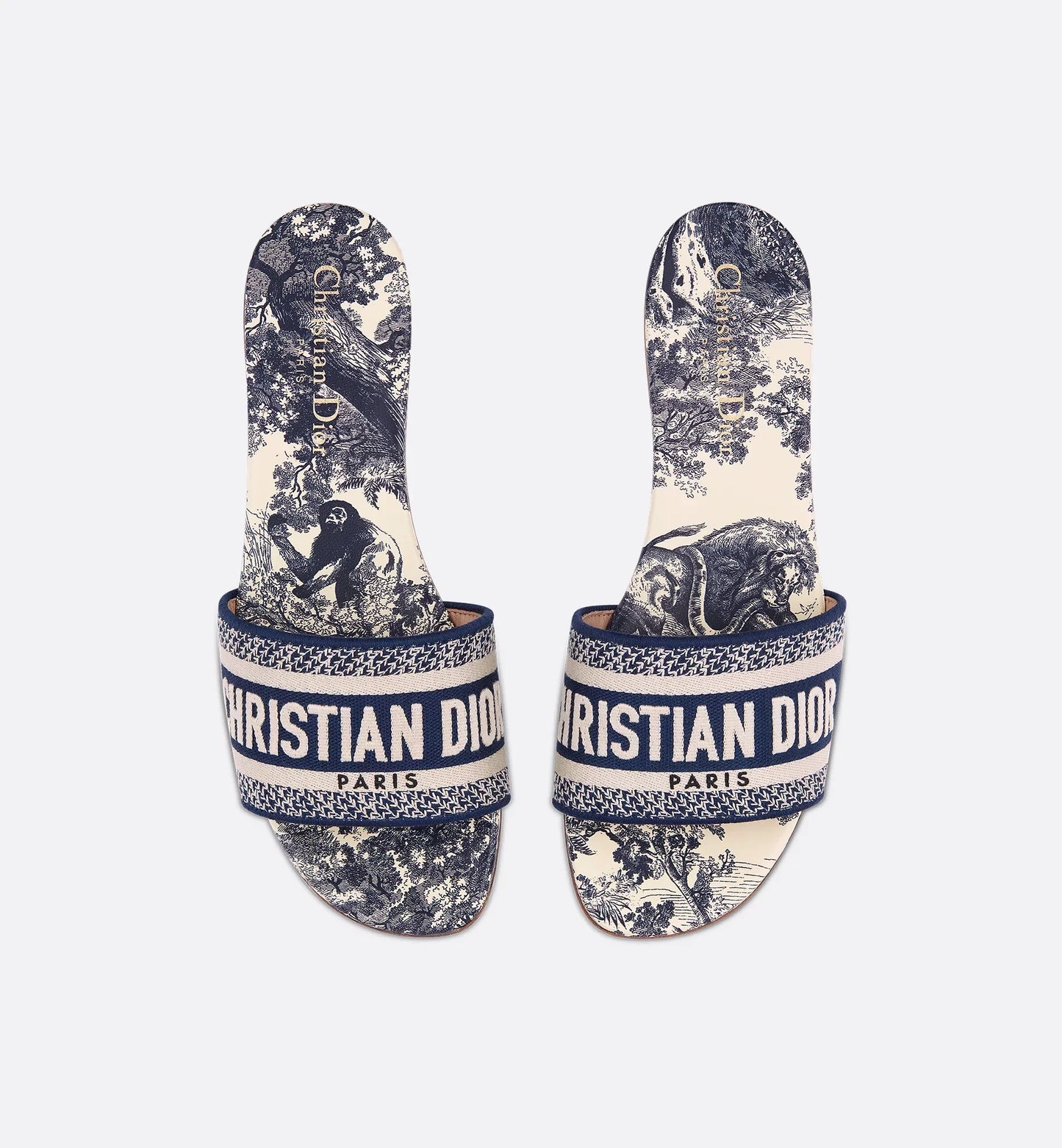 D Dway Slides