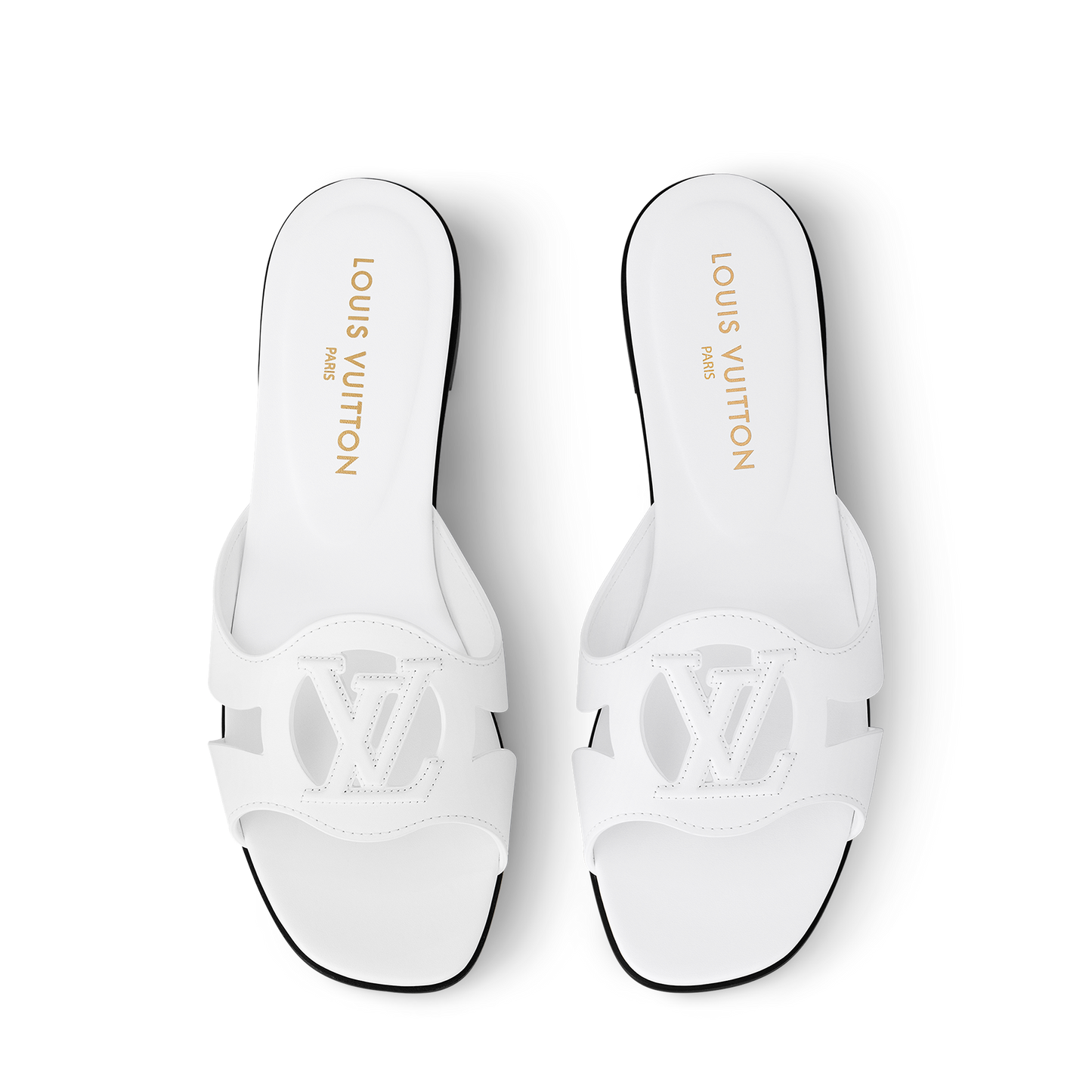 LV Lock slides