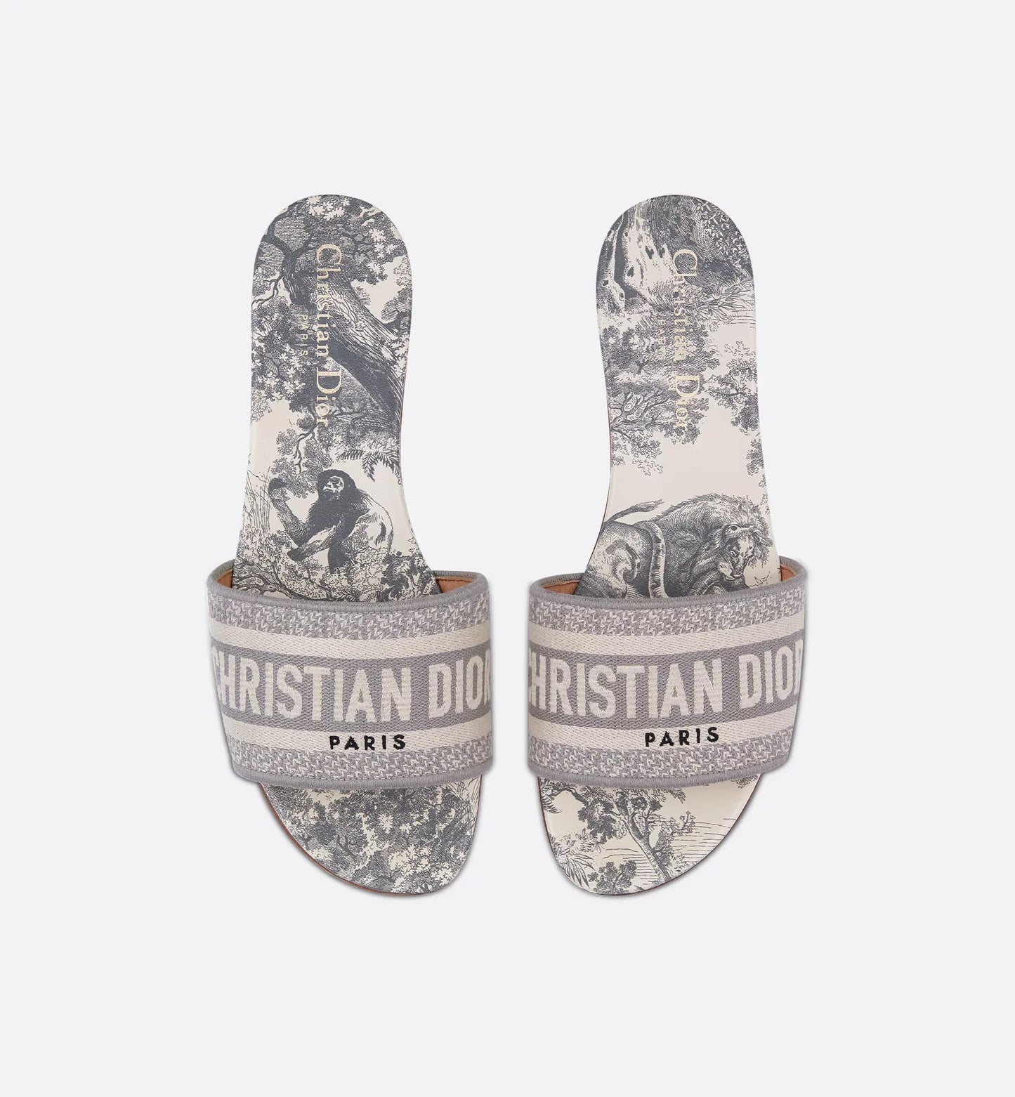 D Dway Slides